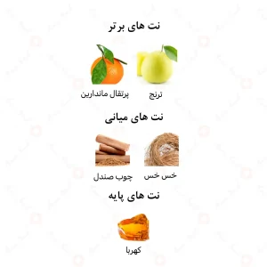 ادکلن افتر ناین گلد امپر | After 9 Gold Emper 