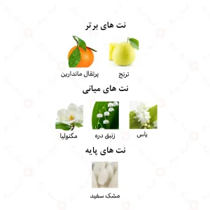 ادکلن افتر 9 سیلور امپر | Emper After 9 Silver