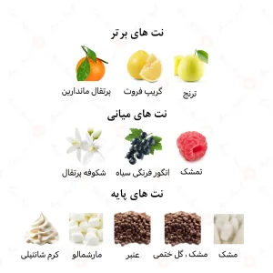 ادکلن اوریانو ۳.۴ اونس امپر | Auriano 3.4 oz
