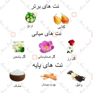 ard al zaafran driham wardi_درهم وردی