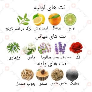 ARMAF - Beau Acute آرماف بیو اکیوت