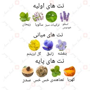 ARMAF - Bois Luxura آرماف بویس لاکچرا