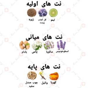 ARMAF - Craze آرماف کریز