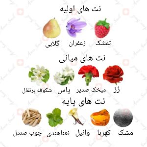 ARMAF - Marjan Gold آرماف مرجان گلد
