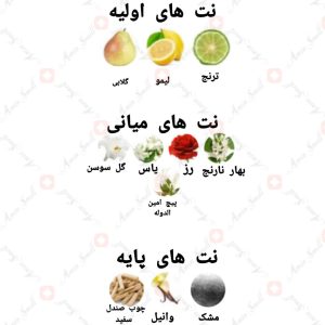 ARMAF - Mignon Black آرماف میگنون بلک