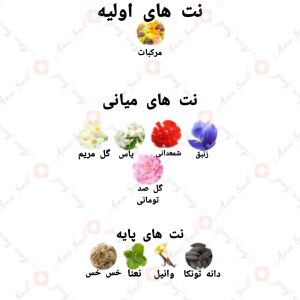 ARMAF - Momento Lace آرماف مومنتو لیس