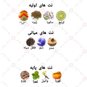 ARMAF - Niche Oud آرماف نیش عود