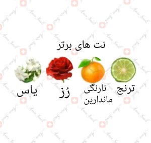 ARMAF - Studio Fiesta آرماف استودیو فیستا