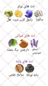 ARMAF - Voyage ارماف وویاژ (وویاج) .