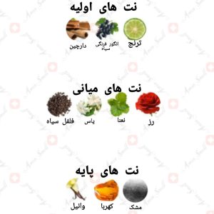 ARMAF - iDivo آرماف آی دیوو