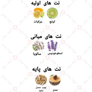 ARMAF_All_You_Need_is_Desire_آرماف_ال_یو_نید_ایز_دیزایر