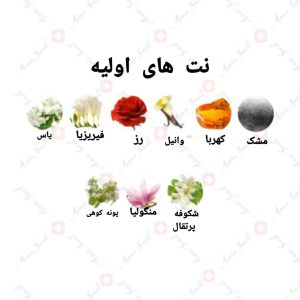 ARMAF_Beau_Elegant_For_Women_آرماف_بیو_الگانت_زنانه_5