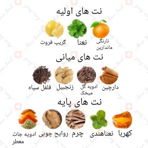 ARMAF_Club_De_Nuit_Man_آرماف_کلاب_د_نویت_من_