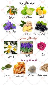 ARMAF_Club_De_Nuit_Sillage_آرماف_کلاب_د_نویت_سیاژ_سیلاج_