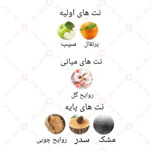 ARMAF_Elite_Women_Pink_آرماف_الیت_وومن_پینک_5