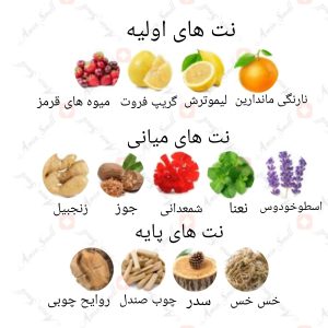 ARMAF_Extreme_Warrior_آرماف_اکستریم_واریر_وریور