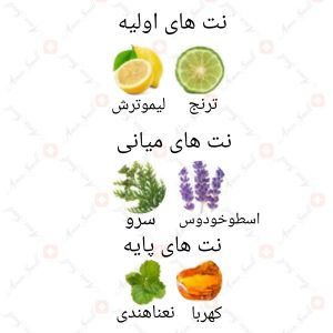 ARMAF - Italiano Nero ارماف ایتالیانو نرو