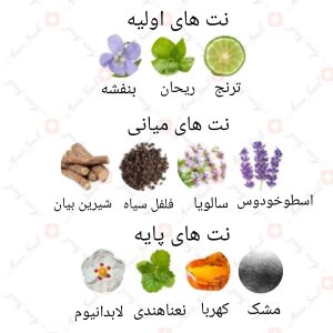 ARMAF_Italiano_Uomo_ارماف_ایتالیانو_اومو_یومو