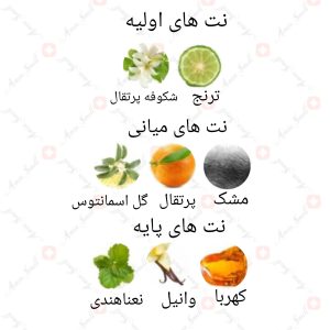 ARMAF_Just_For_You_Pour_Femme_آرماف_جاست_فور_یو_پور_فم