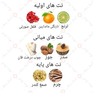 ARMAF_Just_For_You_Pour_Homme_آرماف_جاست_فور_یو_پور_هوم_9