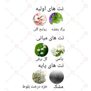 ARMAF_Katarina_Blush_آرماف_کاتارینا_بلاش