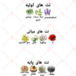 ARMAF_Legesi_Homme_آرماف_لگسی_هوم_مردانه