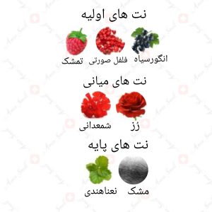 ARMAF_Magnificent_Pour_Femme_آرماف_مگنیفیسنت_پور_فم