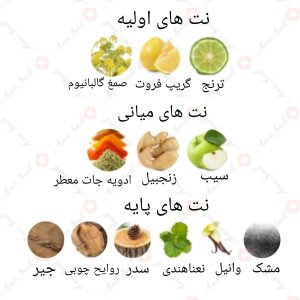 ARMAF_Magnificent_Pour_Homme_آرماف_مگنیفیسنت_پور_هوم