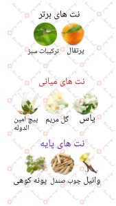 ARMAF_Odyssey_Femme_White_Edition_ارماف_اودیسی_فم_وایت_ادیشن_