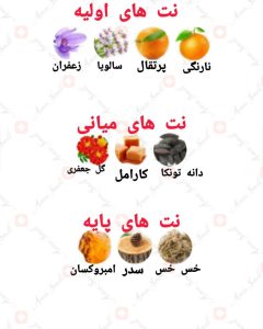 ARMAF_Odyssey_Mandarin_Sky_آرماف_اودیسی_ماندارین_اسکای