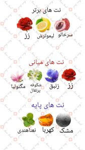 ARMAF_Purple_Amethyst_آرماف_نیش_پرپل_آمتیست_