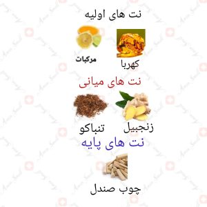 ARMAF_Special_Amber_Oud_Pour_Homme_آرماف_اسپشیال_امبرعود_پور_هوم