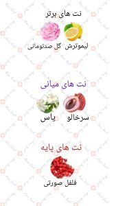 ARMAF_Studio_Fuschia_آرماف_استودیو_فوسچیا_