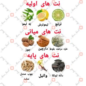 ARMAF_The_Pride_of_Armaf_For_Men_آرماف_د_پراید_آف_آرماف_مردانه