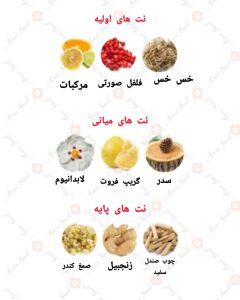 ARMAF - The Warrior آرماف د واریر ( وریور)