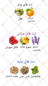 ARMAF_Venetian_Amber_Edition_آرماف_ونیشن_امبر_ادیشن_