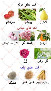 ARMAF_Venetian_Girl_Edition_Rogue_آرماف_ونیشن_گرل_ادیشن_رژ_ (3)
