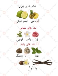 Clab_ the night armaf کلاب د نایت ارماف.armaf