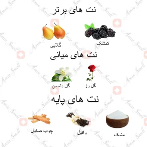 al zaafran Elmira_ارض زعفران المیرا