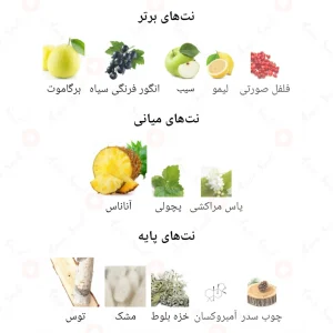 Emperor_Fragrance_World_ادکلن_امپراطور_فرگرانس_ورد_