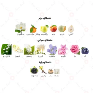 Fragrance_World_Ador_A_Fragrance_World_فراگرنس_ورد_آدور_2