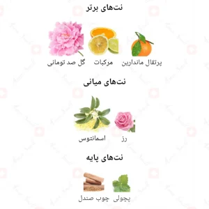 Fragrance_World_Flora_By_Flora_فلورا_بای_فلورا
