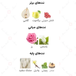 Fragrance_World_Ideal_De_Parfum_ایده_ال_آیدول_فراگرنس_ورد_2