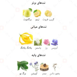 Fragrance_World_Venti_Sublime_ادکلن_ونتی_سابلیم