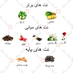 al_zaaferan_dirham_gold_درهم_گلد_ارض_زعفران_با_جعبه