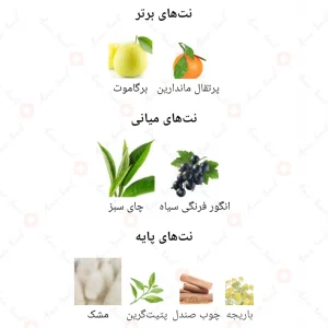 night club sillver ادکلن نایت کلاب سیلور