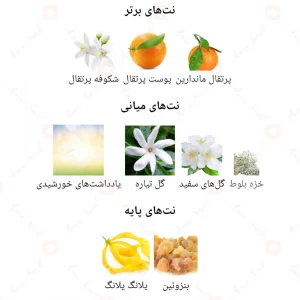 ophylia_stellar_Fragrance_World_ادکلن_اوفیلیا_استلار