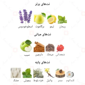 ادوپرفیوم_الامیر_فرگرانس_ورد_Al_Emir_Fragrance_World