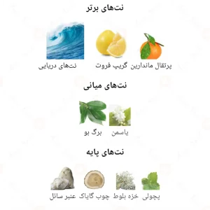 ادکلن اتنتیک پور هوم Authentic Pour Homme