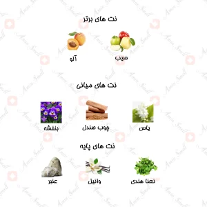 ادکلن_شيري_اماني_نسيم_Amani_Naseem_100_ml_1